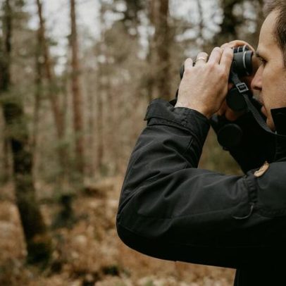 Cinco Escolhas: cinema de mulheres e aves na Serra da Estrela