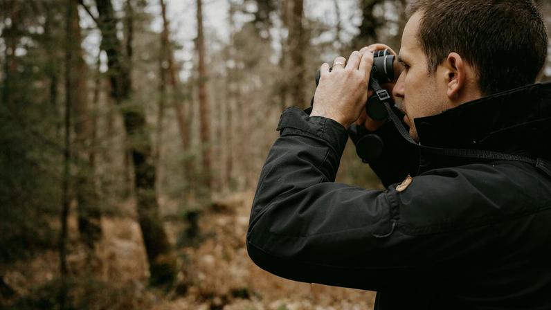 Cinco Escolhas: cinema de mulheres e aves na Serra da Estrela