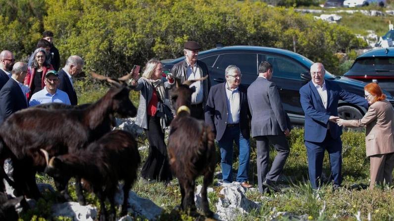 Ministros em Porto de Mós reforçam papel dos rebanhos na prevenção de incêndios