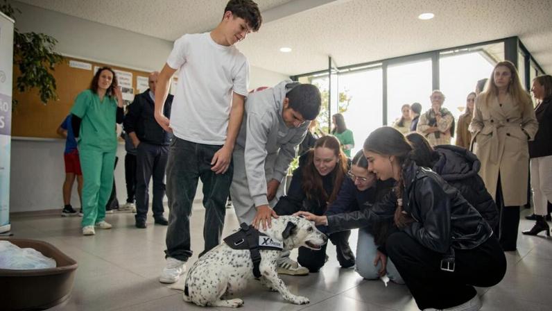 Pintinhas é a nova mascote da Escola de Vila Cova, Barcelos