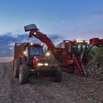 FAO alerta: preços dos alimentos sobem em março por energia cara e conflito