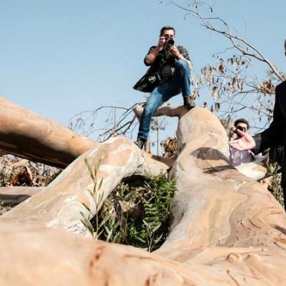 Seguro defende preparação do país para responder a tempestades