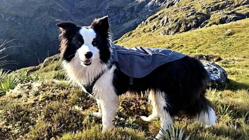 Molly sobreviveu sozinha uma semana