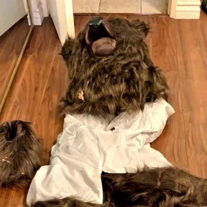 Vestiram-se de urso para obter indemnização do seguro automóvel