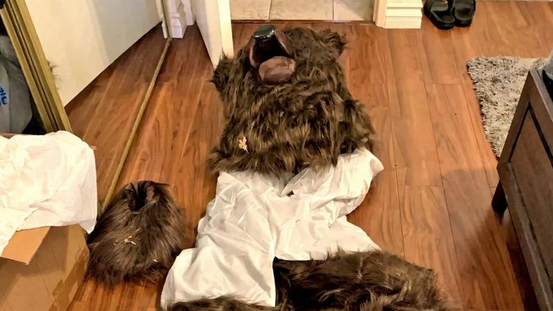 Os suspeitos alegaram que um urso tinha entrado nos seus veículos e danificado os interiores