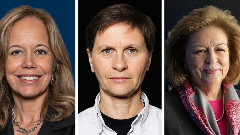 Seguro defende igualdade, mas reduz número de mulheres no Conselho de Estado