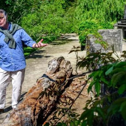 Vandalismo e furto de plantas inquietam o Jardim Botânico