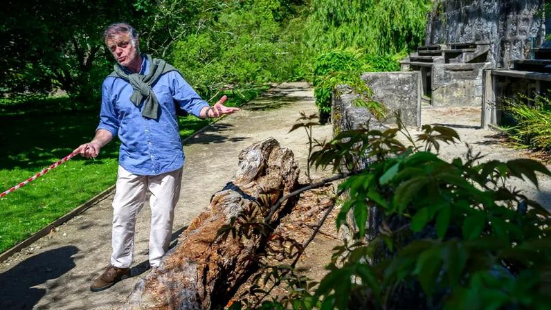 O diretor do Jardim Botânico, Paulo Faria Marques