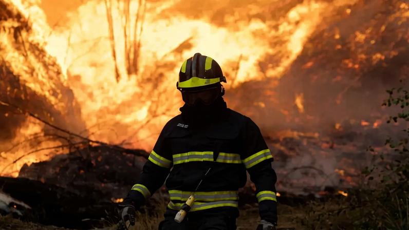 Ciclovia da Avenida da República, Gaia, inicia remoção total na terça