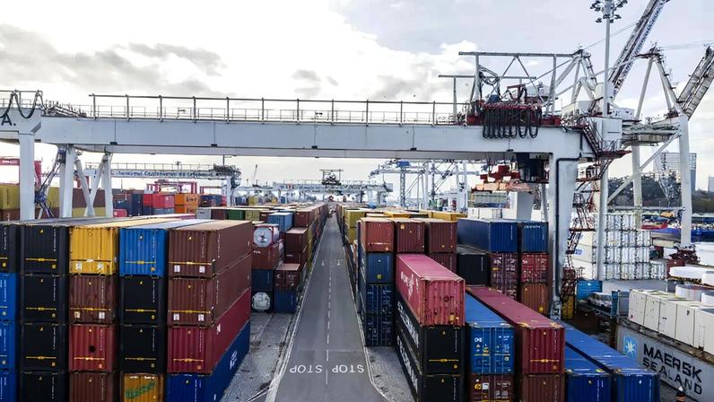 Terminal de Leixões carece de suporte factual e científico, aponta estudo