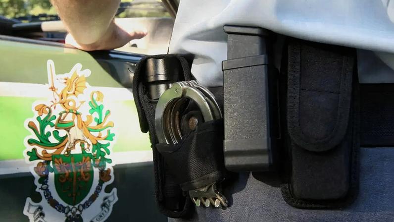 Idoso que ameaçava vizinhos baleia dois guardas para impedir busca