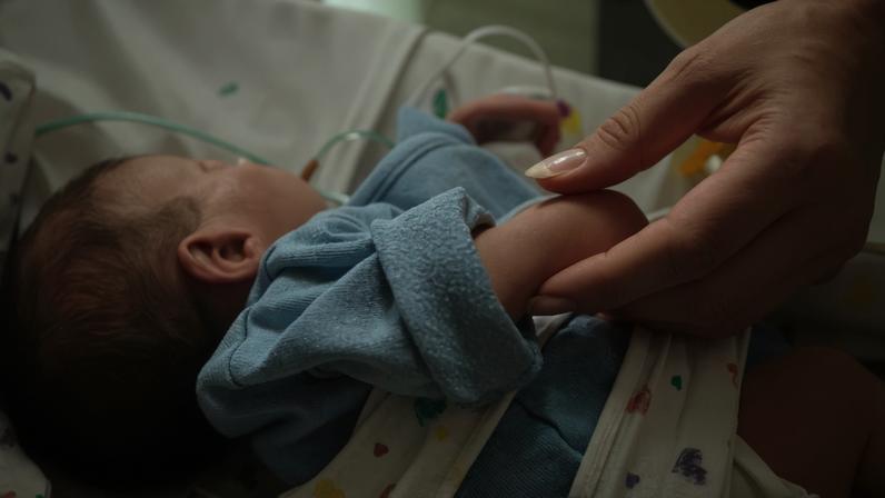 Portugal mantém tendência de aumento de nascimentos