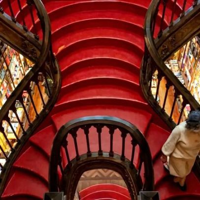 Livraria Lello continua sem poder nomear a fundação