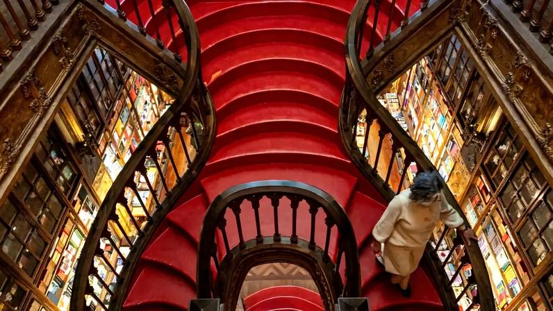 Livraria Lello continua sem poder nomear a fundação