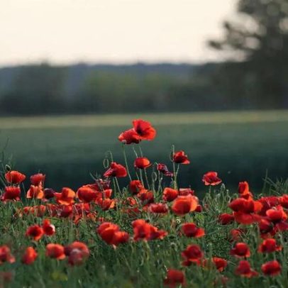 Ovos da Páscoa sem chocolate, com gelatina, para fazer com os miúdos