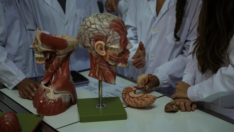 Segundo a ordem, 469 médicos decidiram não ingressar na formação especializada em 2025