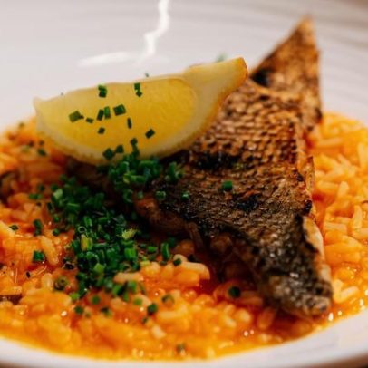 Marisco com vista para a ria no Clube de Vela Costa Nova do Prado