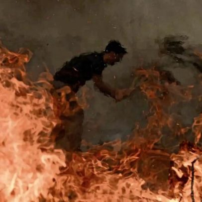 Cigarros atirados na mata destroem 47 mil hectares