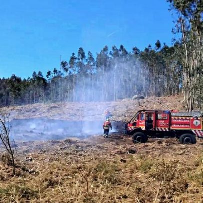 Mais de 100 bombeiros combatem incêndio florestal em Braga
