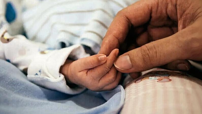 Quase dois partos diários de mães com 45+ anos em 2024