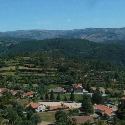 Gerês em destaque numa loja online que vende o futuro e devolve natureza