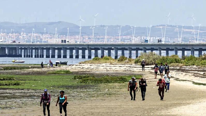 Medicação para Parkinson associada a depressão com vícios de sexo, jogo e compras