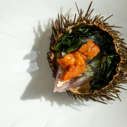 Festival Internacional do Ouriço-do-Mar na Ericeira celebra caviar Atlântico