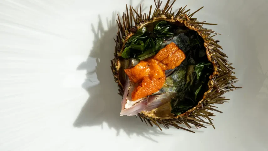 O ouriço-do-mar é a estrela deste festival gastronómico.