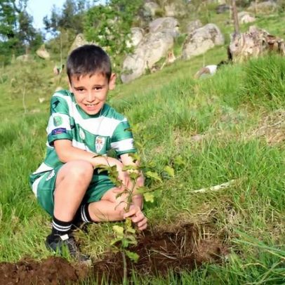 Liga Neno usa plantação de árvores como forma de pontuar