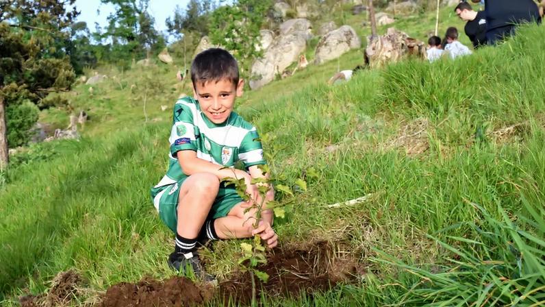 Liga Neno usa plantação de árvores como forma de pontuar