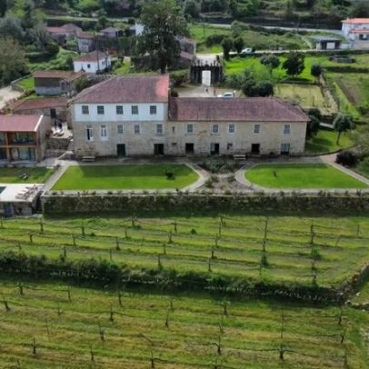 Vinhos e outros tesouros recuperados do baú na Quinta de Cypriano