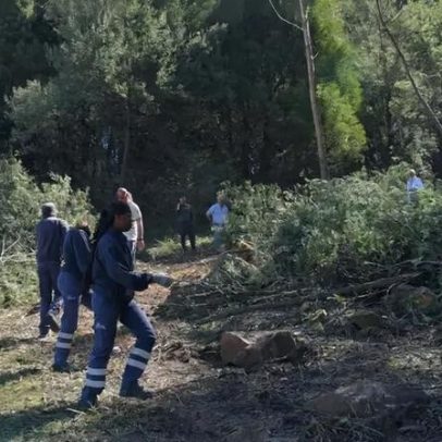 Parque urbano em Gaia ligará Cais do Cavaco à futura Linha Rubi do Metro