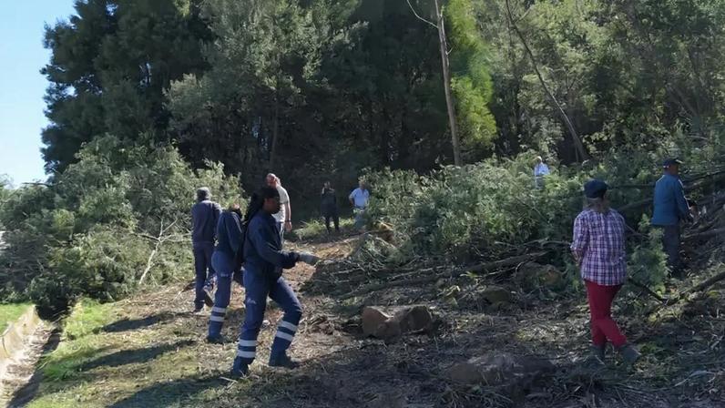 Parque urbano em Gaia ligará Cais do Cavaco à futura Linha Rubi do Metro