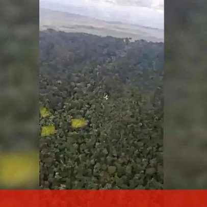 Imagens mostram destroços de avião após queda na selva brasileira