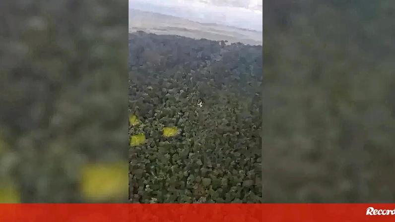 Imagens mostram destroços de avião após queda na selva brasileira