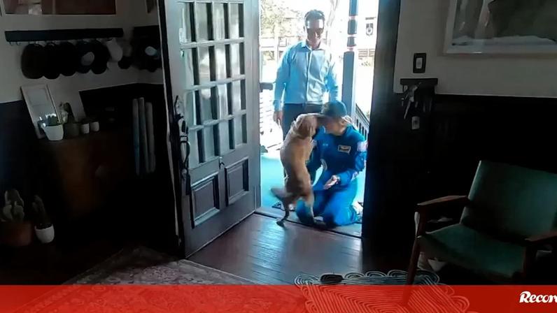 Pura felicidade: o momento em que a astronauta Christina Koch reencontra a sua cadela no regresso a casa