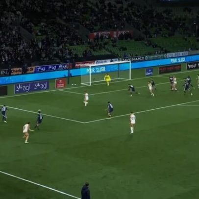Gaivotas protagonizam momento inusitado na liga australiana