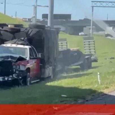 Milhão de abelhas invade saída de autoestrada após acidente nos EUA