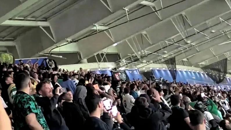 «De manhã café, pela tarde rum...»: adeptos do Sporting aplaudiram a equipa após o clássico no Dragão