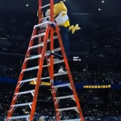 Mascote dos Nuggets faz lançamento de costas no topo de escada de 10 metros