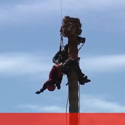 Bombeiros resgatam trabalhador em palmeira a 20 metros nos EUA