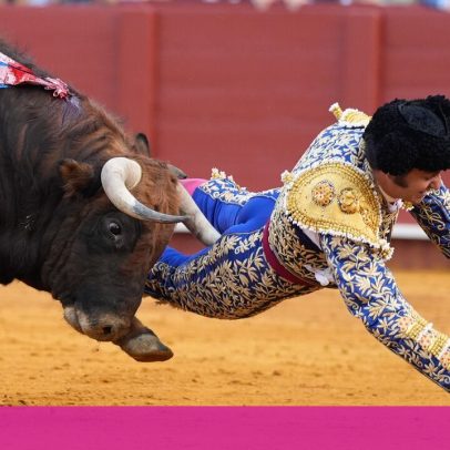 Matador Morante de la Puebla sofre perfuração retal após corrida de touros em Espanha