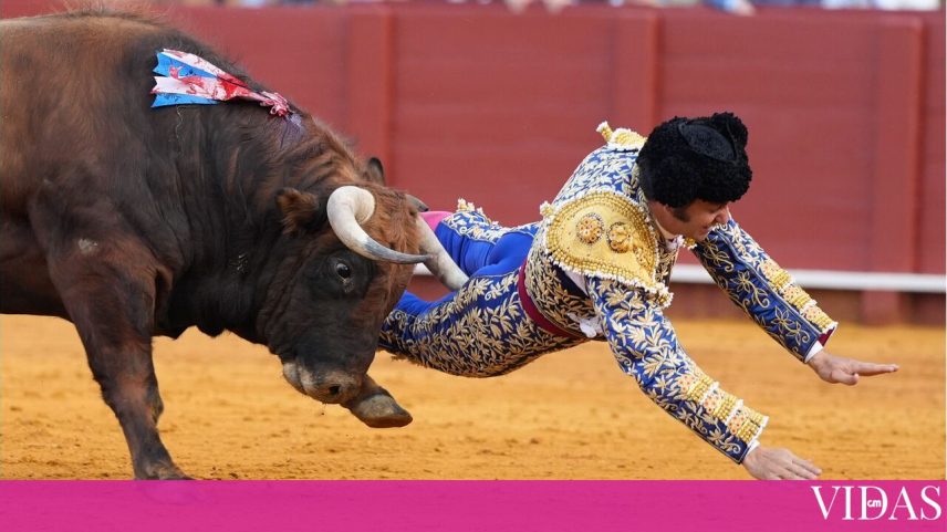 Matador Morante de La Puebla é brutalmente colhido em Espanha e sofre perfuração retal