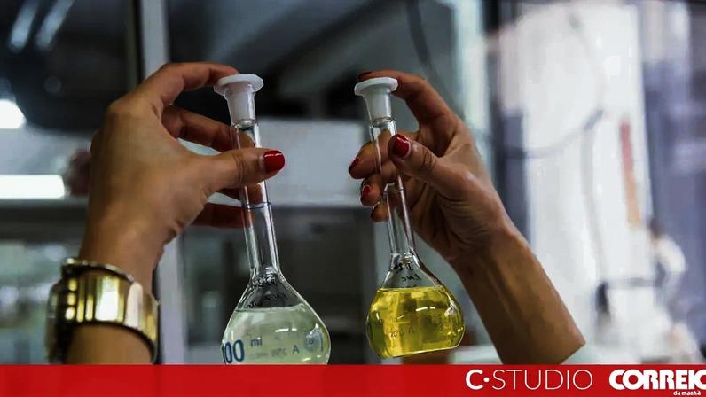 Portugal investe em ouro verde para impulsionar energia limpa