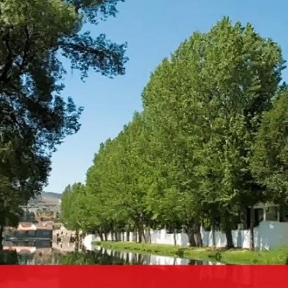 Avaliação da saúde dos rios em Portugal permanece incompleta