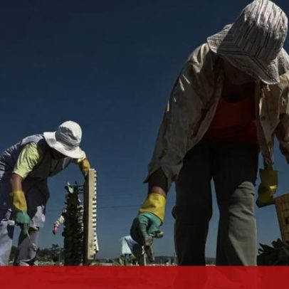 CNA afirma que PTRR ficou muito aquém do necessário para o agro-florestal