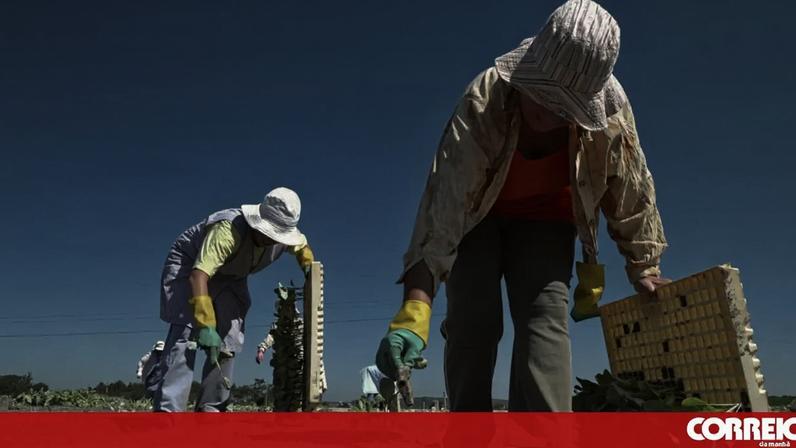 CNA afirma que PTRR ficou muito aquém do necessário para o agro-florestal