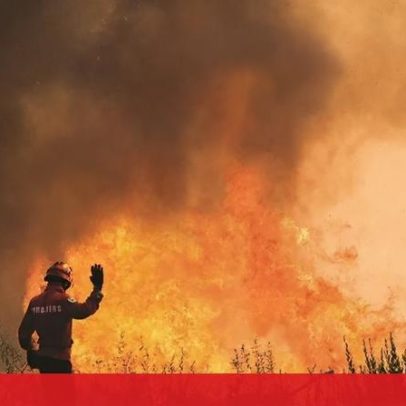 Satélites monitorizam florestas da Região de Coimbra para evitar fogos