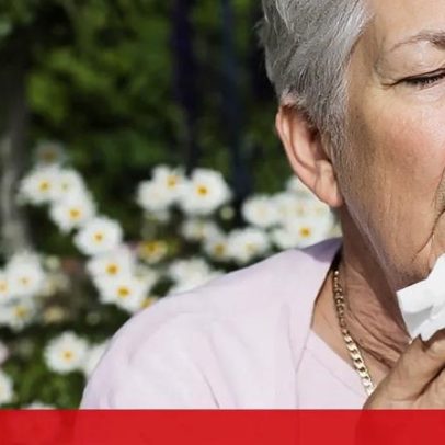 Concentração de pólen mantém-se elevada até ao fim do mês