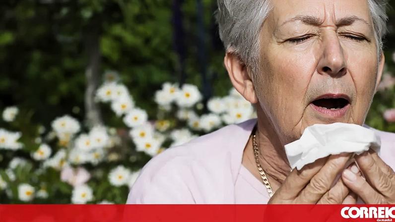 Concentração de pólen mantém-se elevada até ao fim do mês